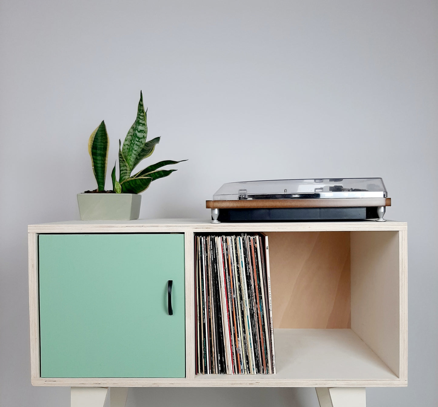 Minimalist Sideboard | Green Door | Vinyl Record Storage | Neutral Credenza | TV Stand